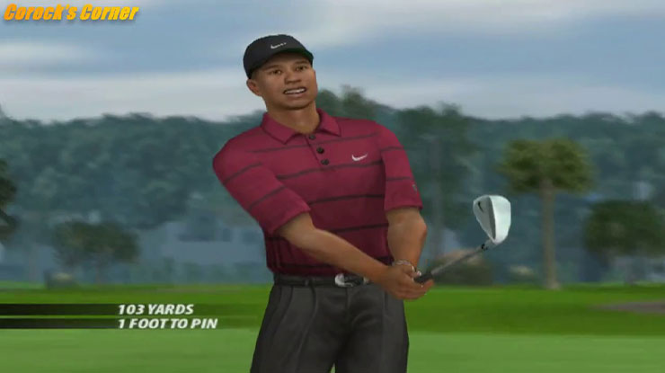 Tiger Woods PGA Tour 2005