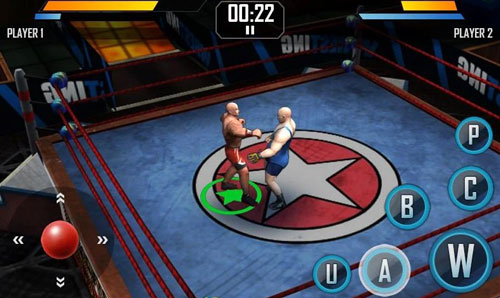 Real Wrestling 3D