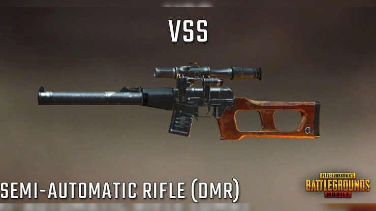 VSS DMR