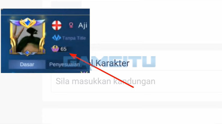Masukkan Level Karakter