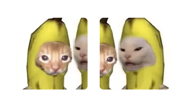 PP Couple Terpisah Kucing Pisang