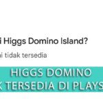 Higgs Domino Tidak Tersedia di Playstore