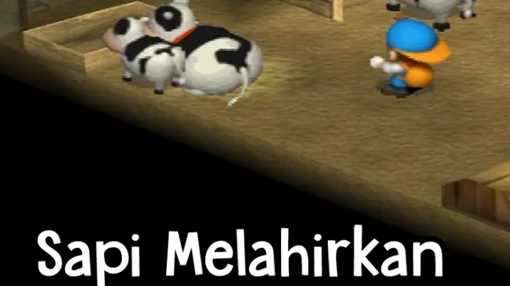 Cara Membuat Sapi Hamil di Harvest Moon